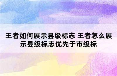 王者如何展示县级标志 王者怎么展示县级标志优先于市级标